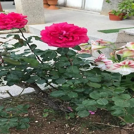 Sarajevo - Two Bedroom With Terrace And Balcony Apartman