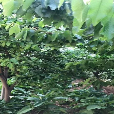 Sarajevo - Two Bedroom With Terrace And Balcony Apartman *