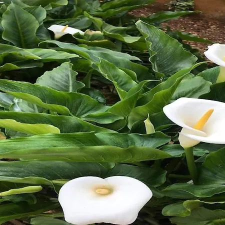 Sarajevo - Two Bedroom With Terrace And Balcony Apartman