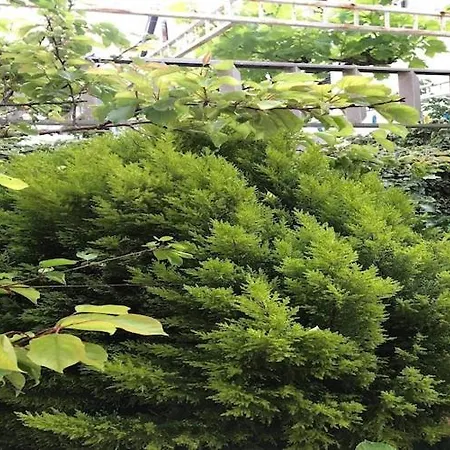 Sarajevo - Two Bedroom With Terrace And Balcony Apartman *