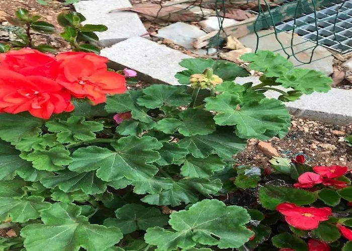 Sarajevo - Two Bedroom With Terrace And Balcony