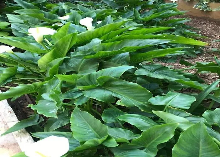 Sarajevo - Two Bedroom With Terrace And Balcony Apartamento *