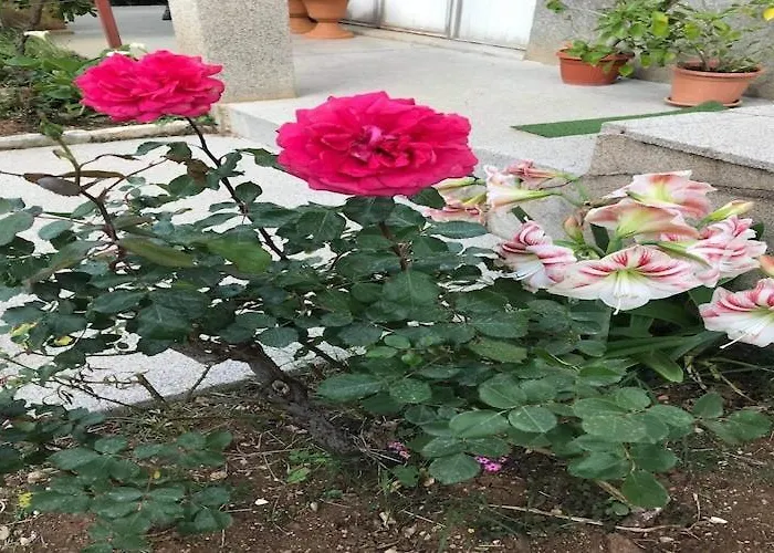 Sarajevo - Two Bedroom With Terrace And Balcony Apartamento