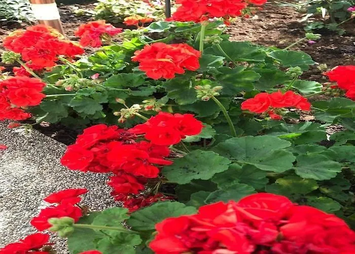 Apartamento Sarajevo - Two Bedroom With Terrace And Balcony Vodice