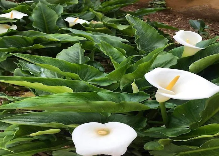 Sarajevo - Two Bedroom With Terrace And Balcony Apartamento