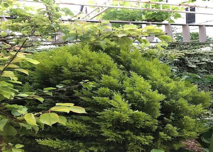 Sarajevo - Two Bedroom With Terrace And Balcony Apartamento *